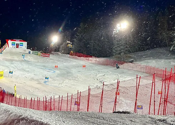 Appartement Bergmueller *